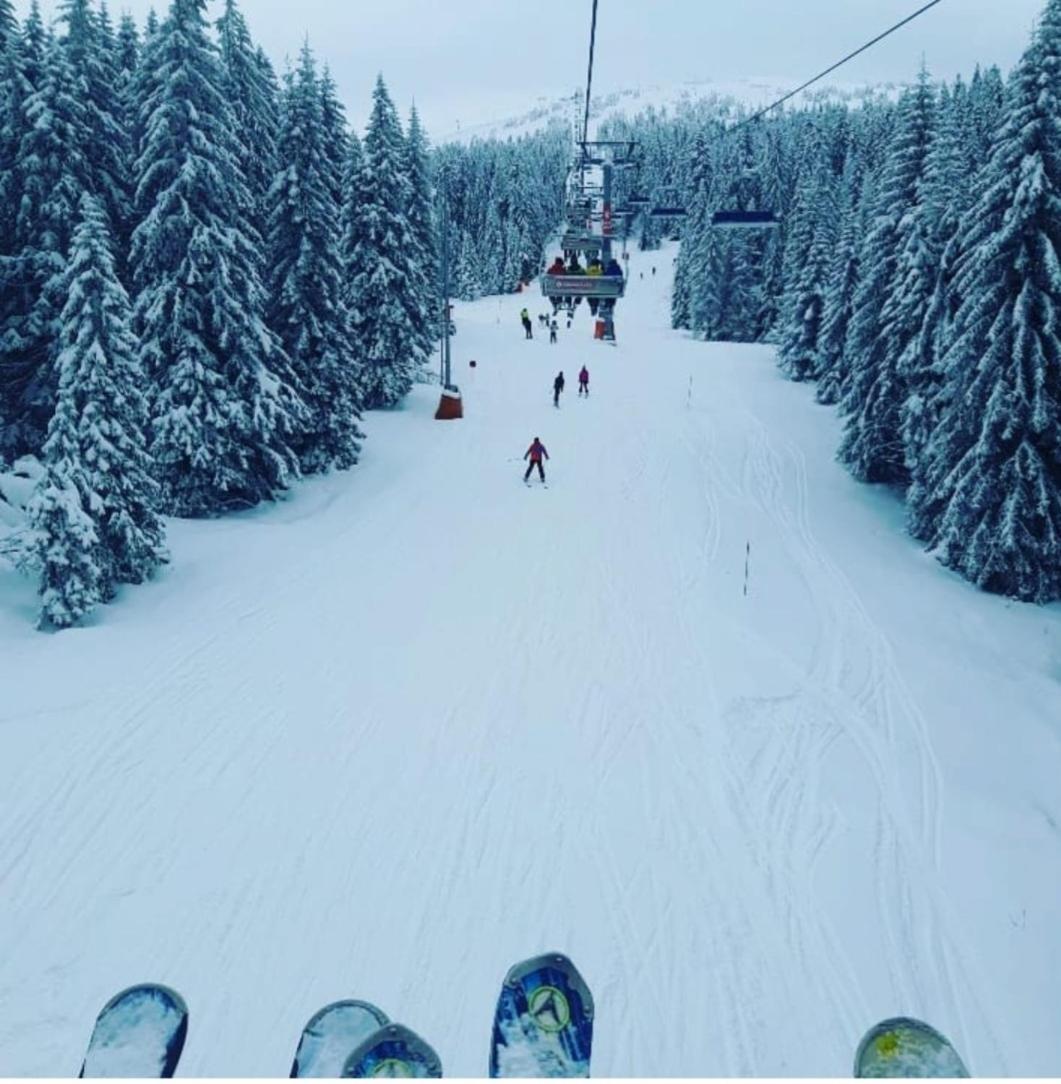 Vistanova Milmari S33 Lägenhet Kopaonik Exteriör bild